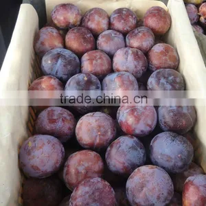 Fresh Black Plum thumbnail-1