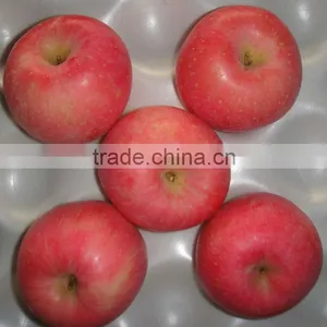 Red Fuji Apple Price thumbnail-1