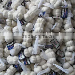 Chinese Fresh Garlic 2015 Garlic thumbnail-3