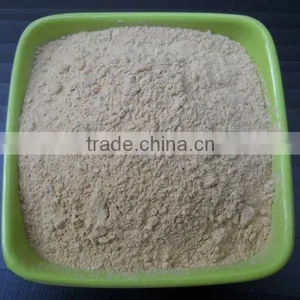 BEST WHITE GARLIC POWDER DRY FOR EXPORT thumbnail-2