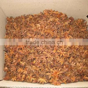 HIGH QUALITY AUTUMN STAR ANISSED thumbnail-3