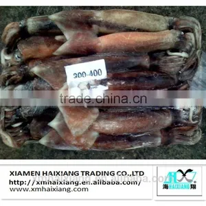 Frozen Squid Supplier thumbnail-5