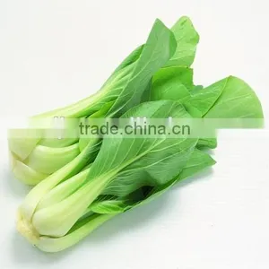 Automatic Leaf Vegetable Slicing Machine/vegetable Cutting Machine thumbnail-3
