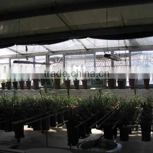 SUN SHADE PLASTIC NETTING thumbnail-1