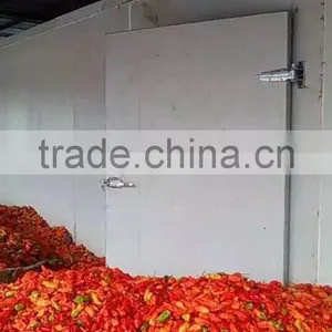 Commercial Vegetable Red Chilli Drying Machine thumbnail-5