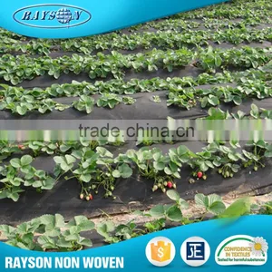 New Product Distributor Wanted Fabric Rolls Weed Control Agriculture Nonwovens thumbnail-1