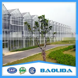 Victorian Greenhouse For Agricultural Vegetable Planting thumbnail-3