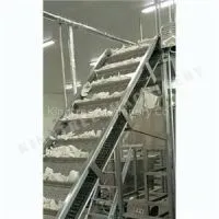 Baffle Coconut Meat Conveyor Machine thumbnail-1