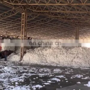 Indian Raw Cotton 100% Pure Cotton Shankar 6 C1% 2016-17 Crop 29mm 29gpt Strength 4-4.9mic 8.5%Moisture 3%Trash thumbnail-4