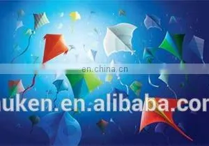 3D Stereo Photographic System for Lenticular Pictures thumbnail-2