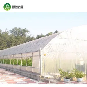 Hot Sale Commercial Polycarbonale Small Single Span Greenhouse thumbnail-4