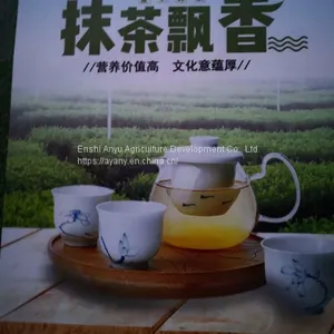 Manufacturers Direct Sales of 500 Grams of Super-grade Tea Powder Bagged Baked Food Mixing Drinks 500 Mesh Tea Without Adding thumbnail-4