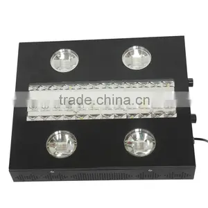 Full Spectrum Hydroponic 300 Watt Cheap Best Led Grow Lights thumbnail-4