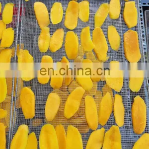 Vietnam Soft Dried Mango 100% Natural Mango thumbnail-2