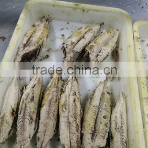 China Frozen Bonito Tuna Loin 7.5kg per Bag thumbnail-1