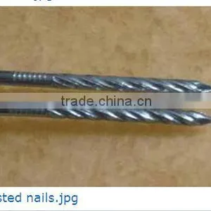 High Quality Twisted Nails Factory thumbnail-2