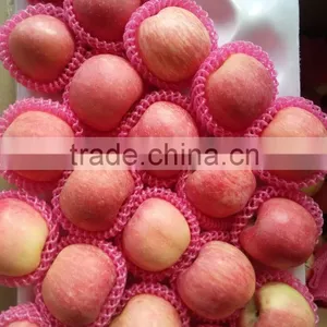 Top Quality Fresh Red Fuji Apple thumbnail-3