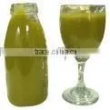 Kiwifruit Puree Concentrate thumbnail-1