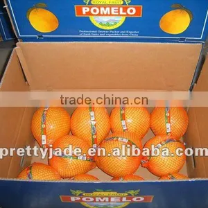 New Honey Pomelo thumbnail-1
