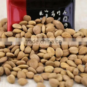 Good Quality Organic Apricot Kernel thumbnail-1