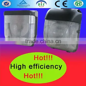 Steady Quality Induction Wall Lamp for Restaurant Lighting thumbnail-1