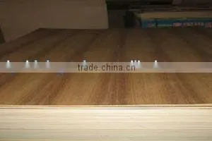 C2 White Birch Plywood thumbnail-6