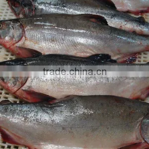 Frozen Pink Salmon Fillets thumbnail-1