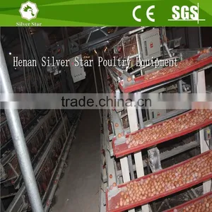Silver Star Patent Egg Collection Equipments Useful For Layer Sheds Cages System thumbnail-5