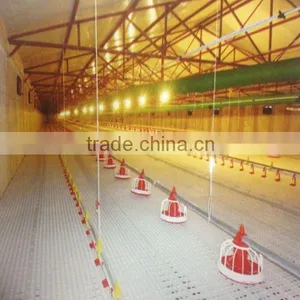 Broiler Chick Shed Equipment thumbnail-1