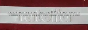Vacuum Formed Plastic Logo for Advertising thumbnail-1