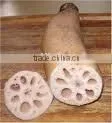 Lotus Root thumbnail-1