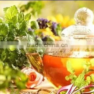 EGCG 90% 95%,green Tea Extract thumbnail-1