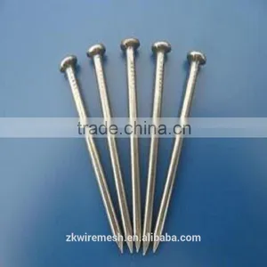 Galvanized Common Nails/Common Wire Nails/Iron Nails thumbnail-1