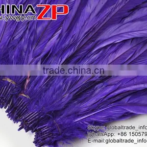 Top Supplier ZPDECOR Wholesale 35-40cm Length Good Colored Royal Purple Fully Dyed Rooster Chicken Feathers for Sale thumbnail-5