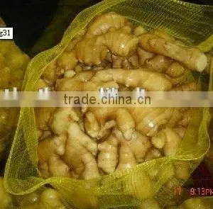 Chinese Fresh Ginger Export Price 2016 thumbnail-4
