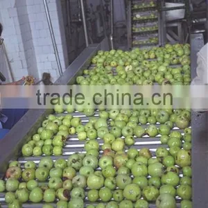 Apple Juice Processing Line thumbnail-2