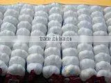 Fresh Organic Garlic thumbnail-2