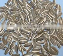 SUNFLOWER BLACK SEEDS thumbnail-1