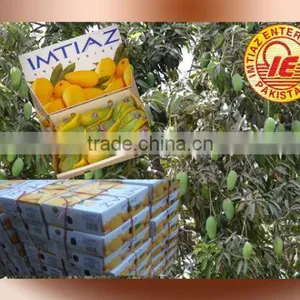 Mango thumbnail-1