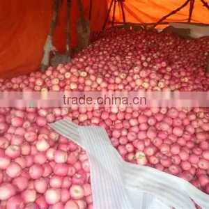 China Fresh Apples/fuji Apples thumbnail-1