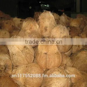 Semihusk Mature Coconut thumbnail-2