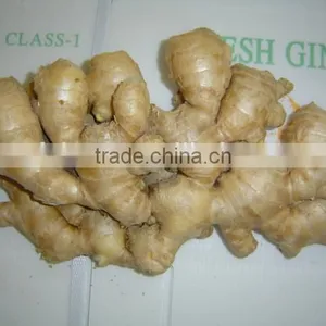 Fresh Mature Fat Ginger thumbnail-4