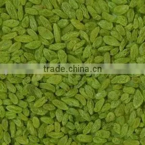 Industrial Tunnel Conveyor Belt Type Raisins Drying and Sterilizing Microwave Oven thumbnail-4