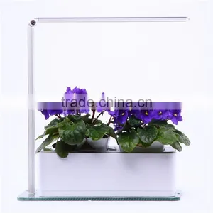 New Cheapest Tube8 Dual uv Led Nail Lamp 36w thumbnail-1
