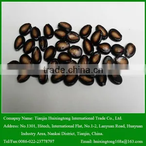 2015 New Crop Black Melon Seeds On Sale thumbnail-1