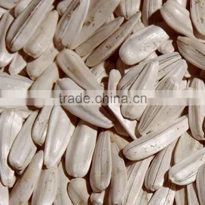 White Sunflower Seeds From Turkey All Size thumbnail-1