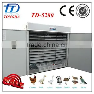 TD-5280 Hold 5000 Eggs Automatic Chicken Egg Incubator thumbnail-1