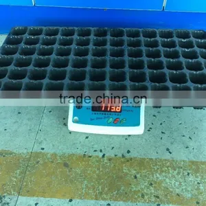 #014 Black Plastic Seedling Trays/High Quality Black Plastic Seedling Trays thumbnail-1