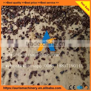 Stainless Steel Cocoa Bean Peeling Peeler Machine on Sale thumbnail-3