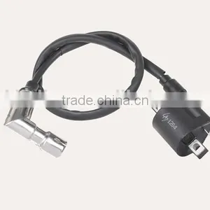 250CC Loncin Engine Water Cooled Engine Ingition Coil thumbnail-1